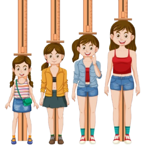 Header Illustration